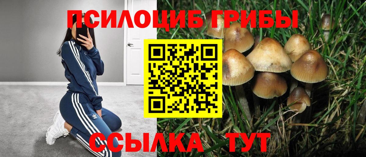 Псилоцибиновые грибы Magic Shrooms  Вход с VPN  Шахты 