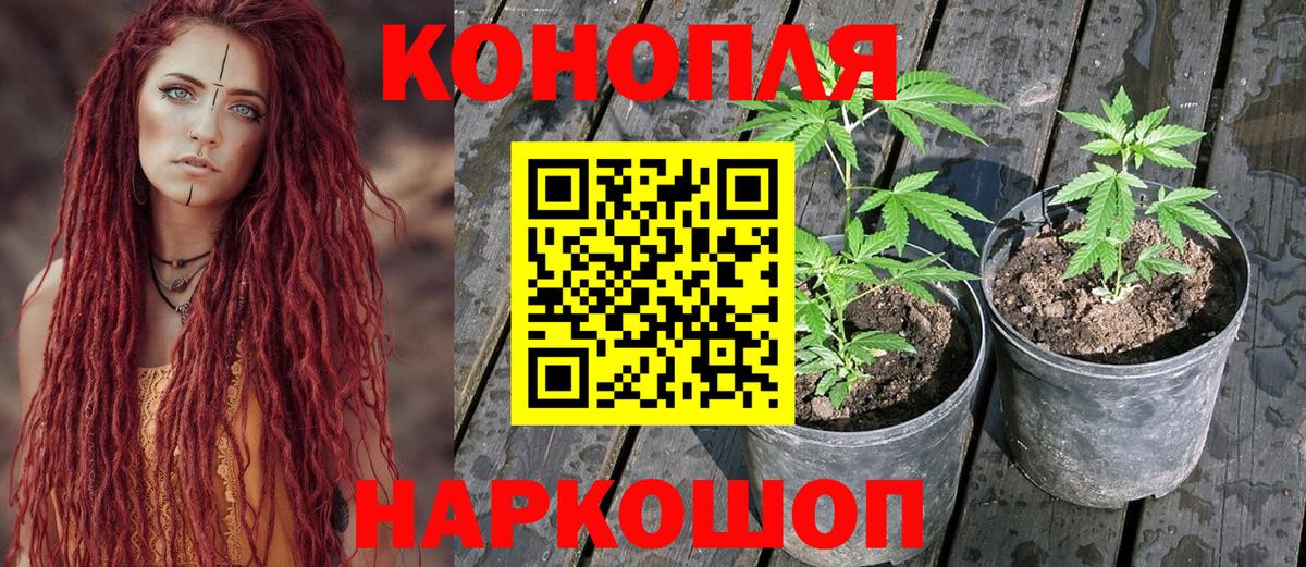 Марихуана гибрид  Вход с VPN  Шахты  Бошки марихуана ГИДРОПОН 